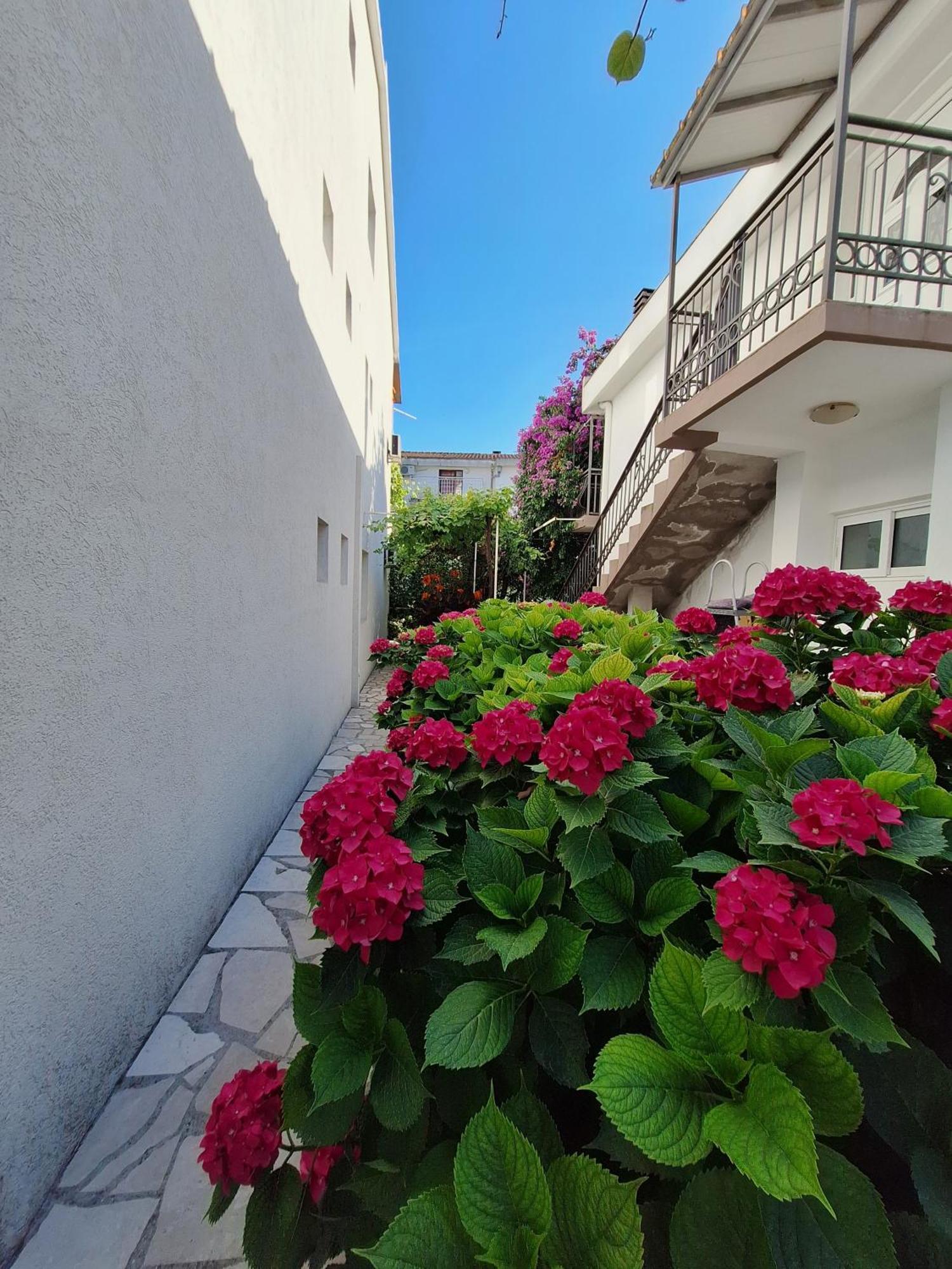 Apartmani Hortenzija Budva Buitenkant foto