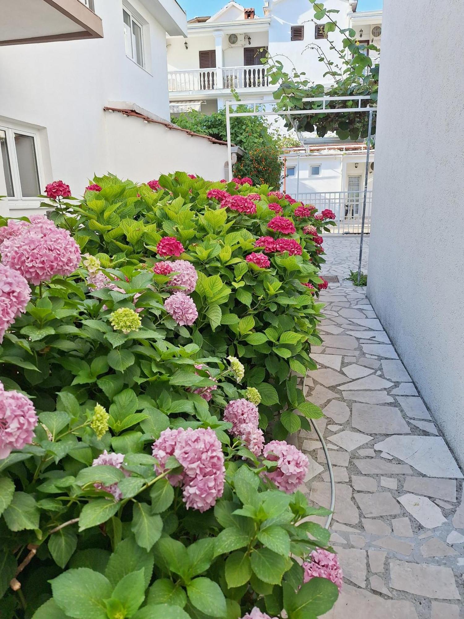 Apartmani Hortenzija Budva Buitenkant foto